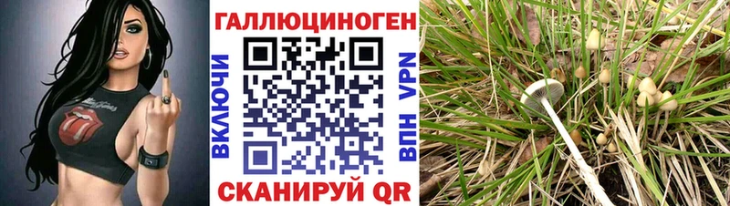 Псилоцибиновые грибы GOLDEN TEACHER  Сольвычегодск 